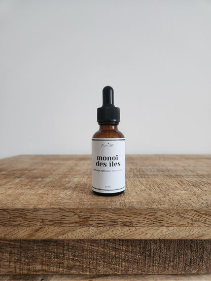 Recharge pour diffuseur voiture